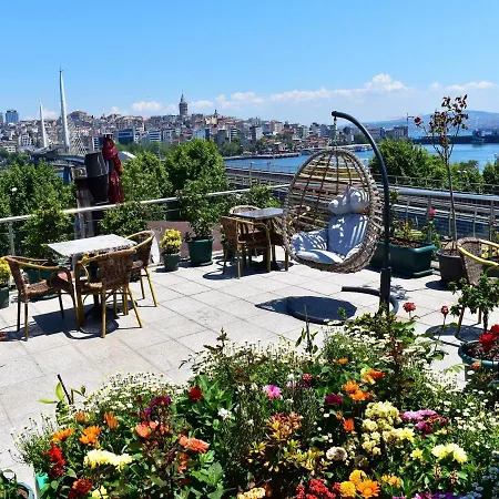 Roof Halic